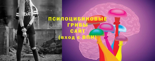 дживик Алексеевка