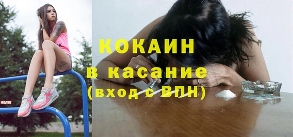 дмт Алексин